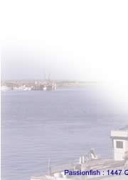 Graphic: fishing boats
